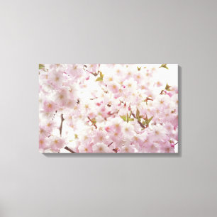 Romantic Cherry Blossom en Little Bee Canvas Afdruk