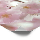 Romantic Cherry Blossom en Little Bee Poster (Hoek)