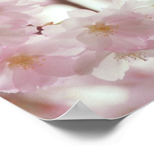 Romantic Cherry Blossom en Little Bee Poster (Hoek)