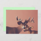 Romantic Deer Briefkaart (Voorkant / Achterkant)