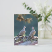 Romantic Doves Briefkaart (Staand voorkant)