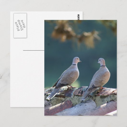 Romantic Doves Briefkaart (Voorkant / Achterkant)