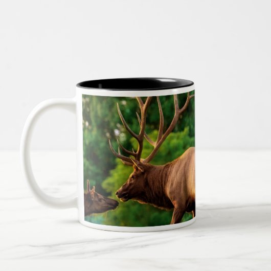 Romantic Elk Mok (Links)