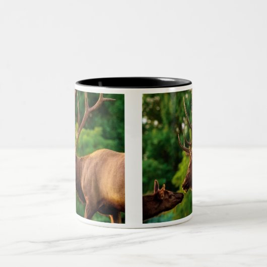 Romantic Elk Mok (Center)