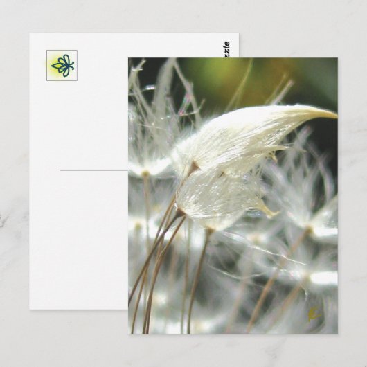 Romantic Embrace Dandelion Seed Briefkaart (Voorkant / Achterkant)