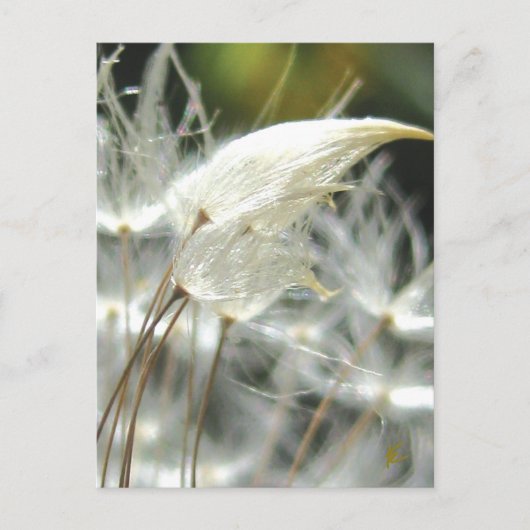 Romantic Embrace Dandelion Seed Briefkaart (Voorkant)