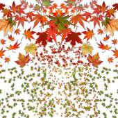 Romantic Fall Colors Maple Leaves Autumn Berries Douchegordijn