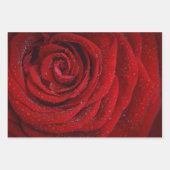 Romantic Floral Red Rose Inpakpapier Vel (Voorkant 3)