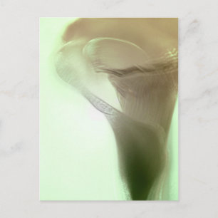 Romantic Flower Detail Briefkaart