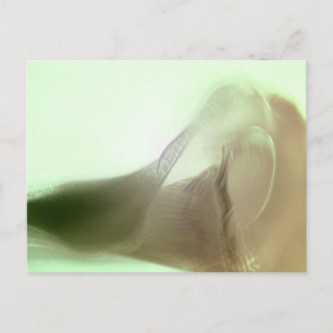 Romantic Flower Detail Briefkaart