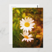 Romantic Flowers – Botanical Daisy Сouple Briefkaart (Voorkant / Achterkant)