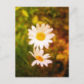 Romantic Flowers – Botanical Daisy Сouple Briefkaart (Voorkant)