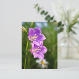 Romantic Flowers – Botanical Fantasy Boho Briefkaart