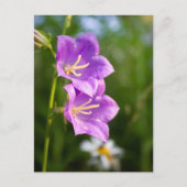 Romantic Flowers – Botanical Fantasy Boho Briefkaart (Voorkant)