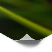 Romantic Flowers – Botanical Fantasy Boho Poster (Hoek)