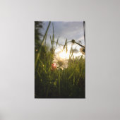 Romantic Flowers – Botanical Fantasy Daisy Canvas Afdruk (Voorkant)