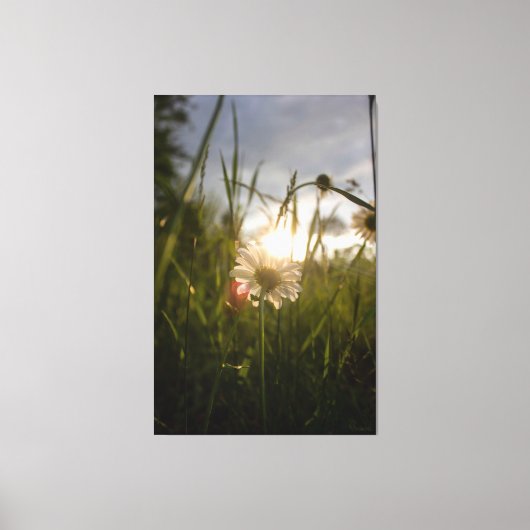 Romantic Flowers – Botanical Fantasy Daisy Canvas Afdruk (Voorkant)