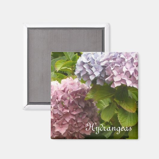Romantic Hydrangeas Magneet (Voorkant / Achterkant)