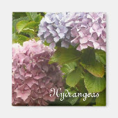 Romantic Hydrangeas Magneet (Voorkant)