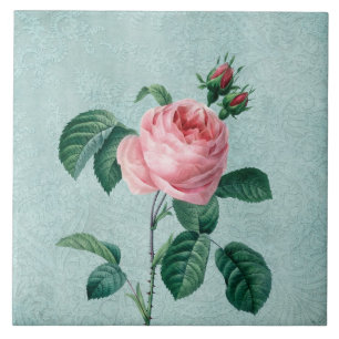 Romantic Lace Roos Tegeltje
