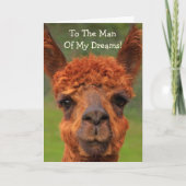 Romantic Llama: "Man van mijn dromen" gedag Kaart (Voorkant)