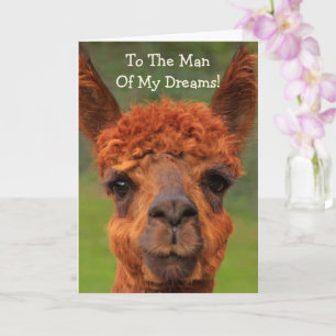Romantic Llama: "Man van mijn dromen" gedag Kaart