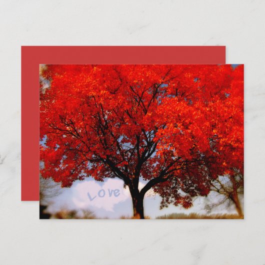 Romantic Love is in Air Red Herfst Tree Briefkaart (Voorkant / Achterkant)