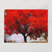 Romantic Love is in Air Red Herfst Tree Briefkaart (Voorkant)