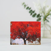 Romantic Love is in Air Red Herfst Tree Briefkaart (Staand voorkant)
