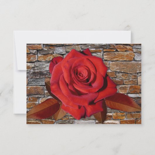 Romantic Love Story Book Wedding RSVP Card Kaart (Achterkant)