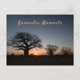 Romantic Moments Sunset Sacred Baobabs Briefkaart