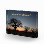 Romantic Moments Sunset Sacred Baobabs Fotoblokken (Rechts)