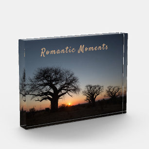 Romantic Moments Sunset Sacred Baobabs Fotoblokken
