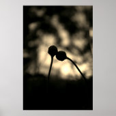 Romantic Moody Flowers – Botanical Fantasy Boho Poster (Voorkant)