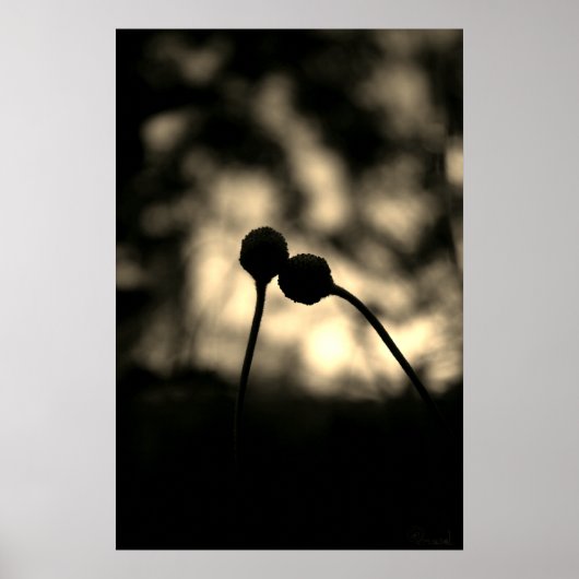 Romantic Moody Flowers – Botanical Fantasy Boho Poster (Voorkant)