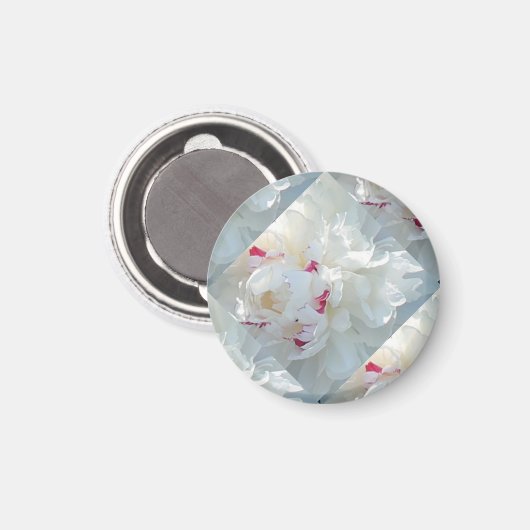 Romantic Multi Peony Magnet (Voorkant / Achterkant)