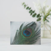 Romantic Peacock Feather Briefkaart (Staand voorkant)