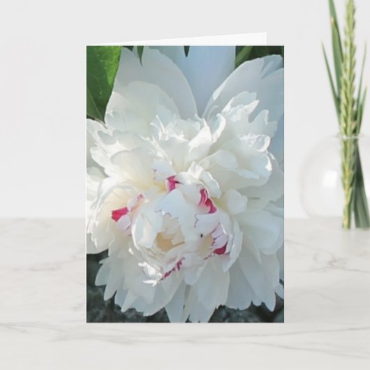 Romantic Peony Greeting en/of Note Card Kaart (Voorkant)