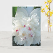 Romantic Peony Greeting en/of Note Card Kaart (Gele Bloem)