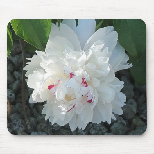 Romantic Peony Mousepad Muismat (Voorkant)