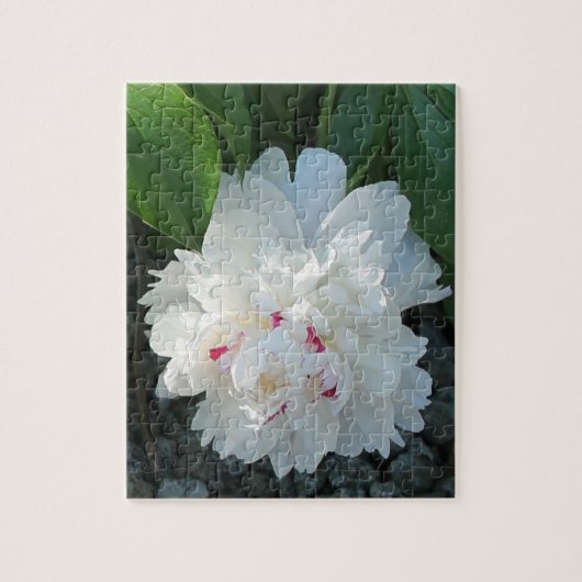 Romantic Peony Puzzle Legpuzzel (Verticaal)