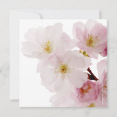 Romantic Pink Cherry Blossoms Bridal Shower Kaart (Achterkant)