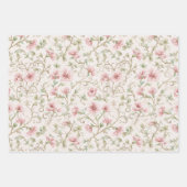 Romantic Pink Cream Floral Inpakpapier Vel (Voorkant 3)