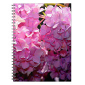 Romantic Pink Hydrangea Notitieboek (Voorkant)