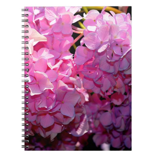 Romantic Pink Hydrangea Notitieboek (Voorkant)