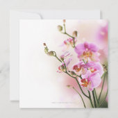Romantic Pink Orchids Weddenschap Kaart (Achterkant)