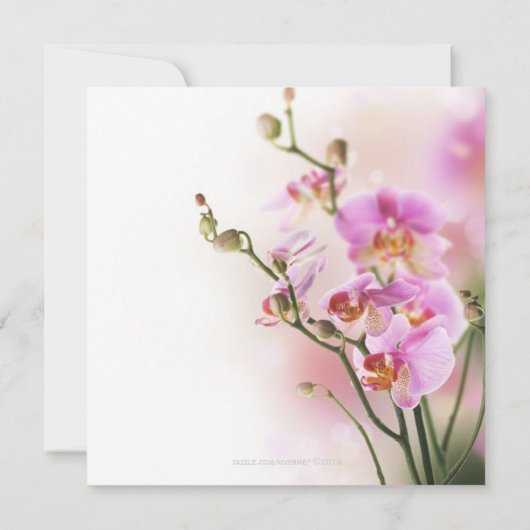 Romantic Pink Orchids Weddenschap Kaart (Achterkant)