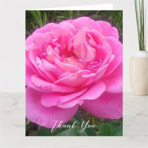 Romantic Pink Rose "Leonardo Da Vinci" Bedankkaart