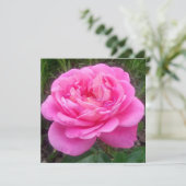 Romantic Pink Rose "Leonardo Da Vinci" Kaart (Staand voorkant)
