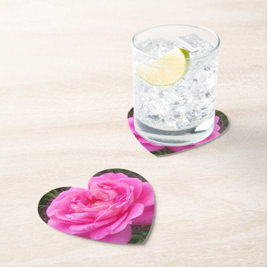 Romantic Pink Rose "Leonardo Da Vinci" Kartonnen Onderzetters (Insitu)